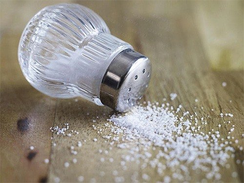 Поваренная соль поможет в борьбе с блохами