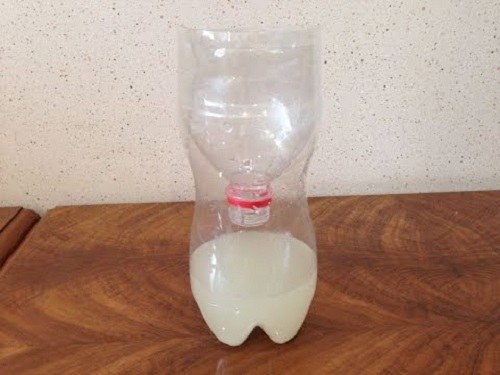 Самодельная ловушка для клопов из пластиковой бутылки