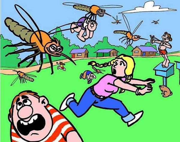 Как избавиться от комаров на дачном участке?