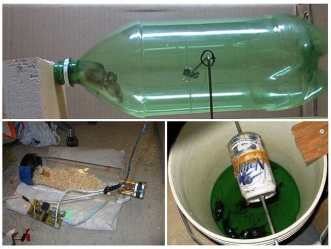 Как сделать мышеловку из пластиковой бутылки